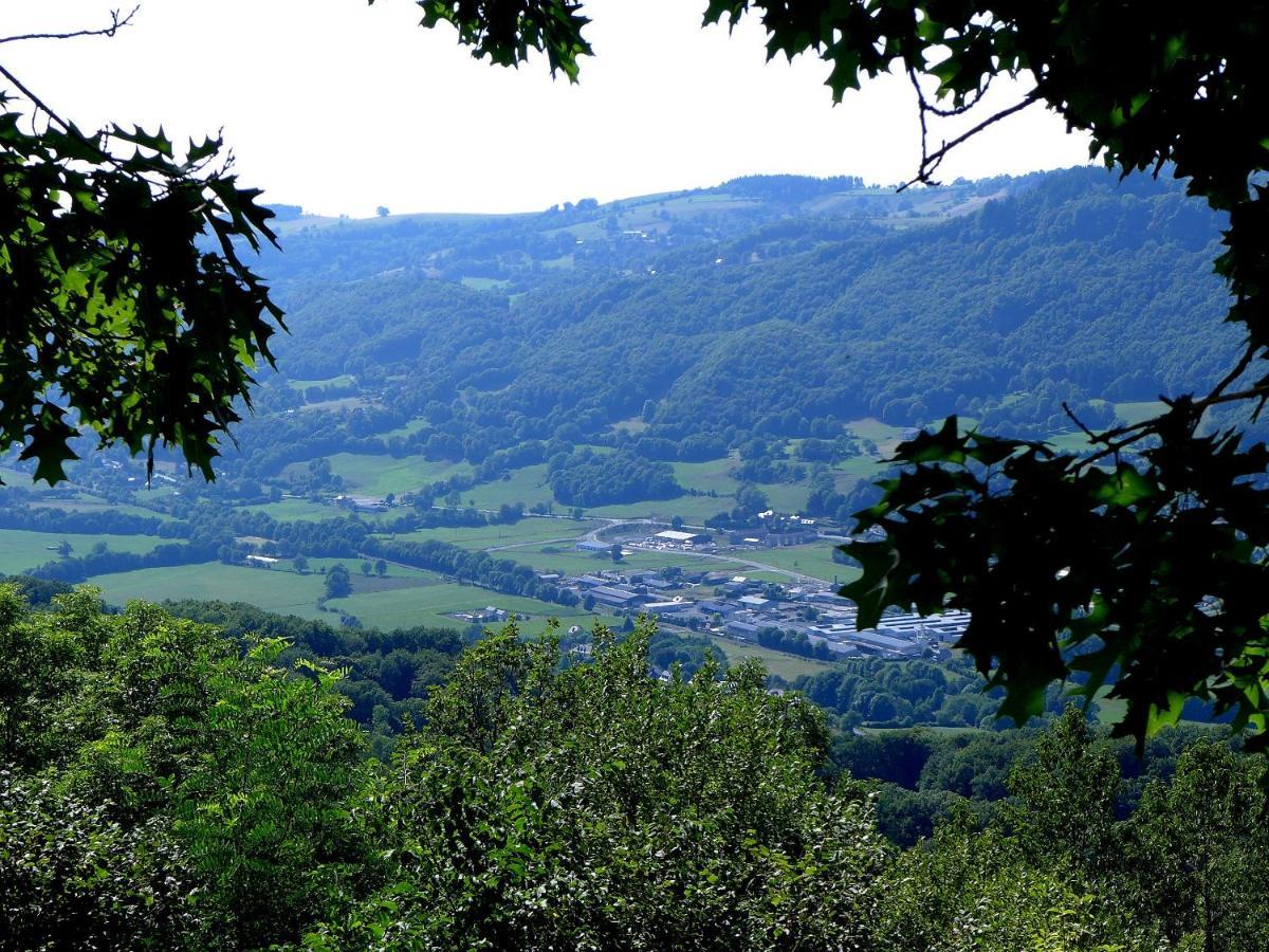 Hostellerie Saint Clement Vic-sur-Cère Zewnętrze zdjęcie